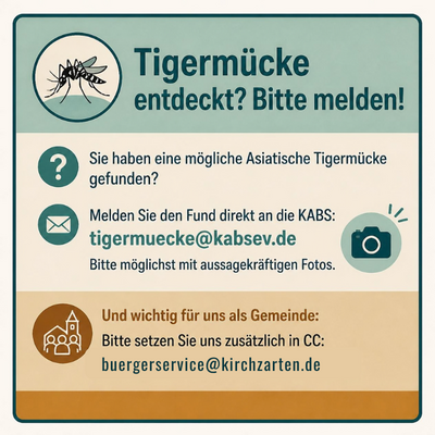 Infobox Tigermücke Infobox Tigermücke