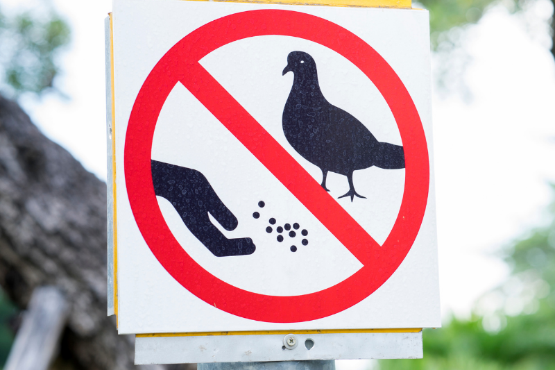 Taubenfütterungsverbot - Warnschild Taubenfütterungsverbot - Warnschild